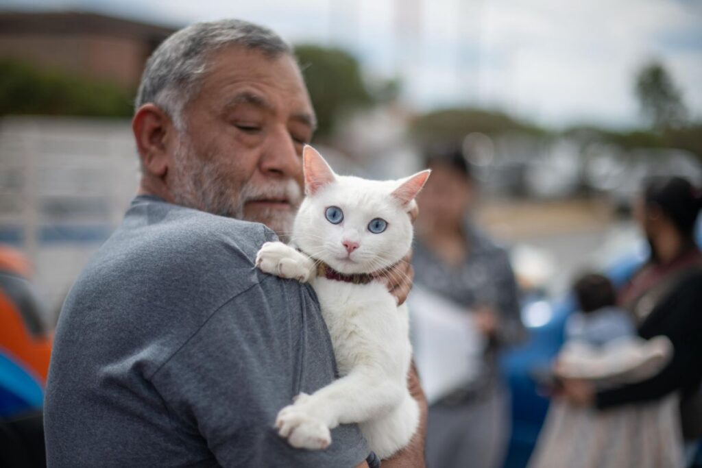 El Marqués impulsa iniciativas para el bienestar animal