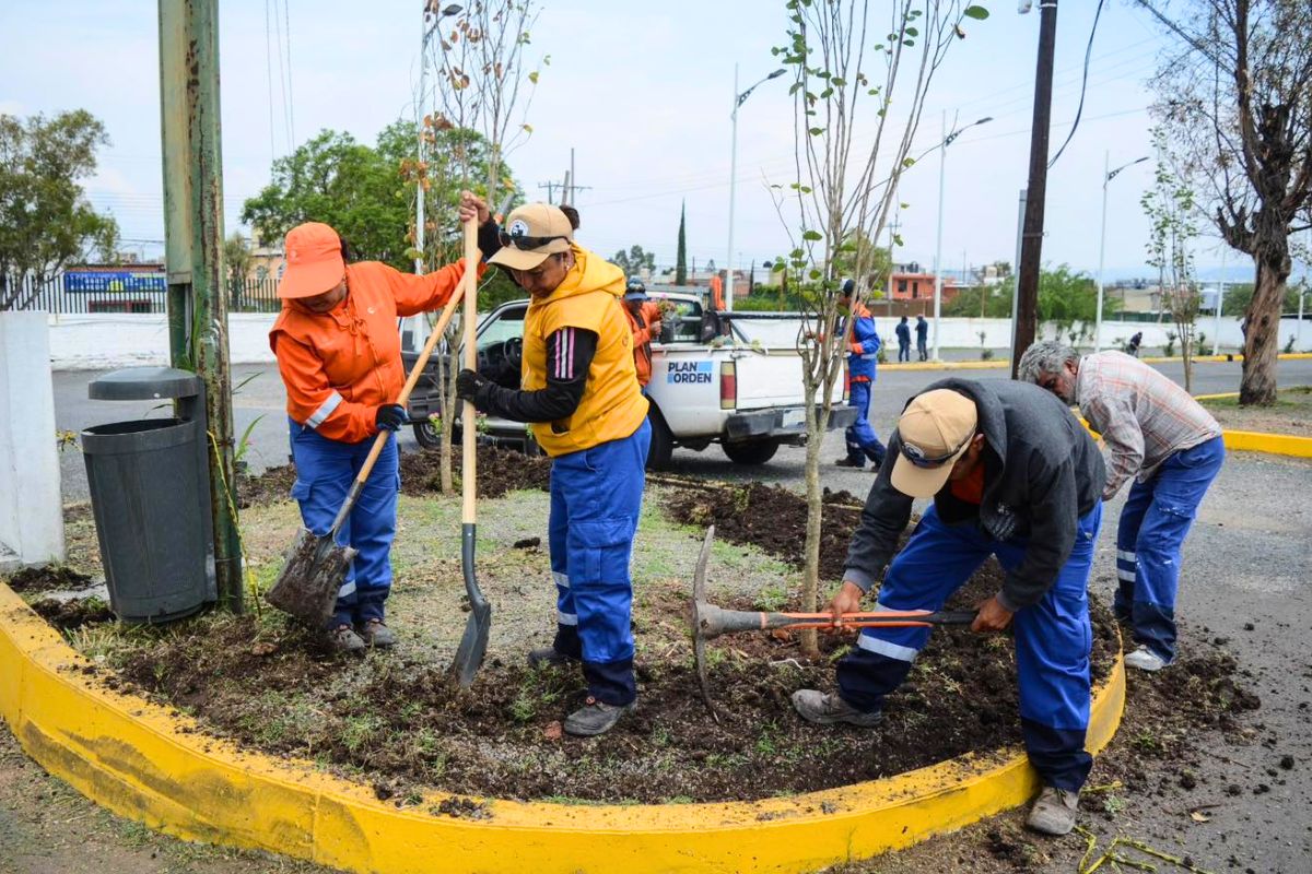 Querétaro combate isla de calor con reforestación en ciudad judicial