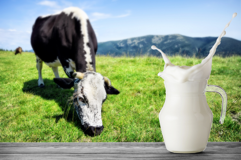 La empresa de productos lácteos ocupa el segundo lugar nacional y confirma la relevancia de los alimentos básicos en la despensa mexicana / Foto: Especial